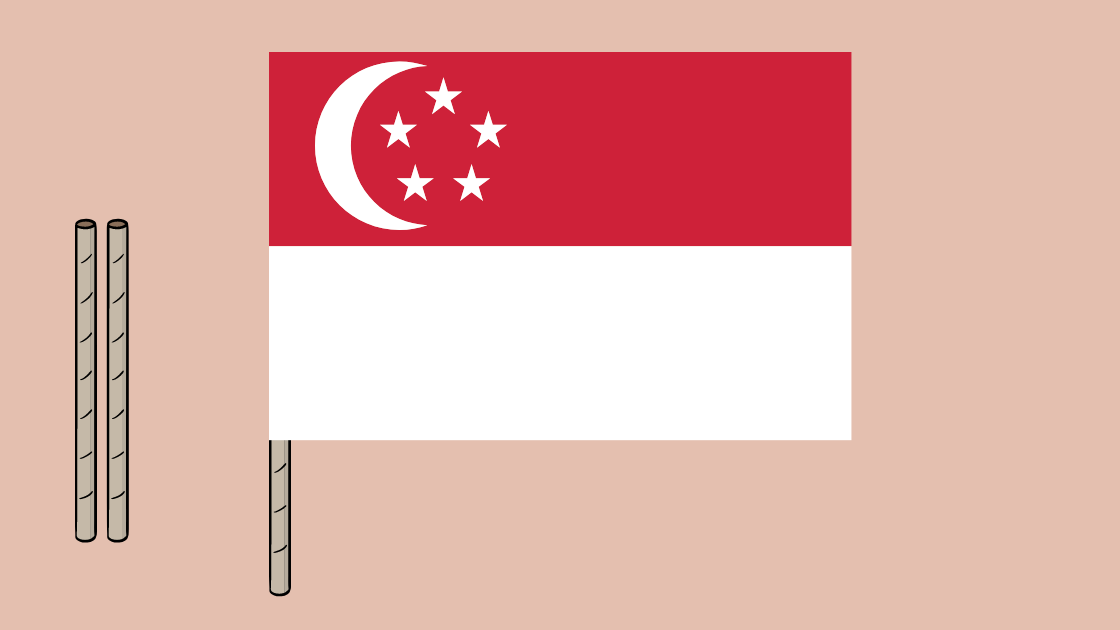 6 Activities The Family Would Actually Like On National Day In